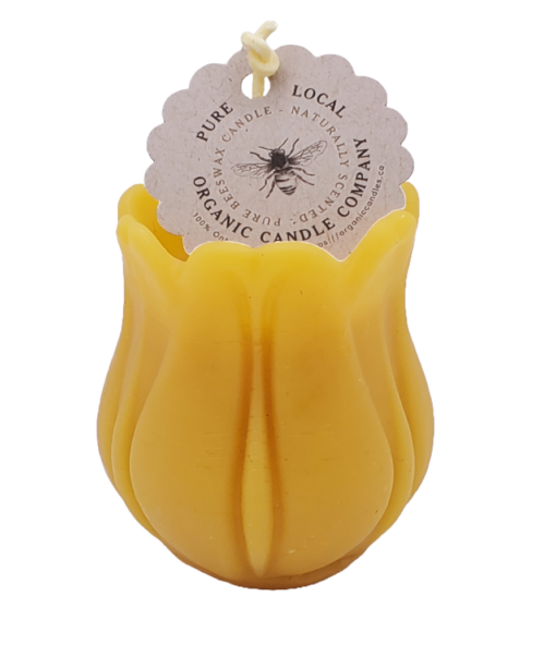tulip_candle_beeswax